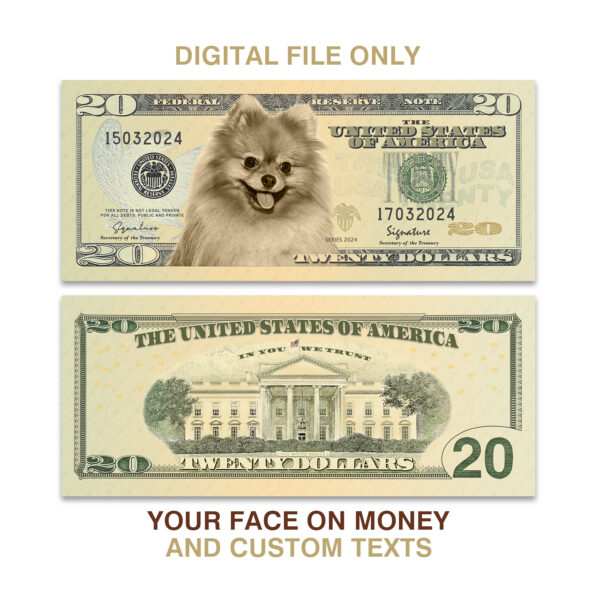 $20 Dollar Bill