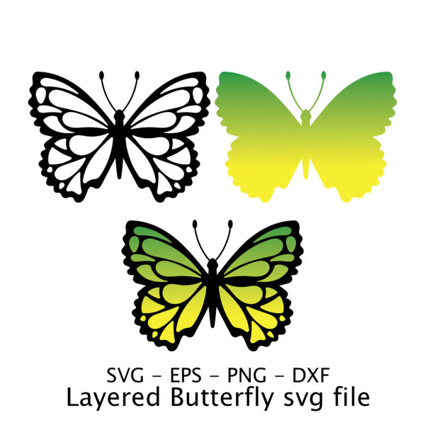 Layered Butterfly svg file.