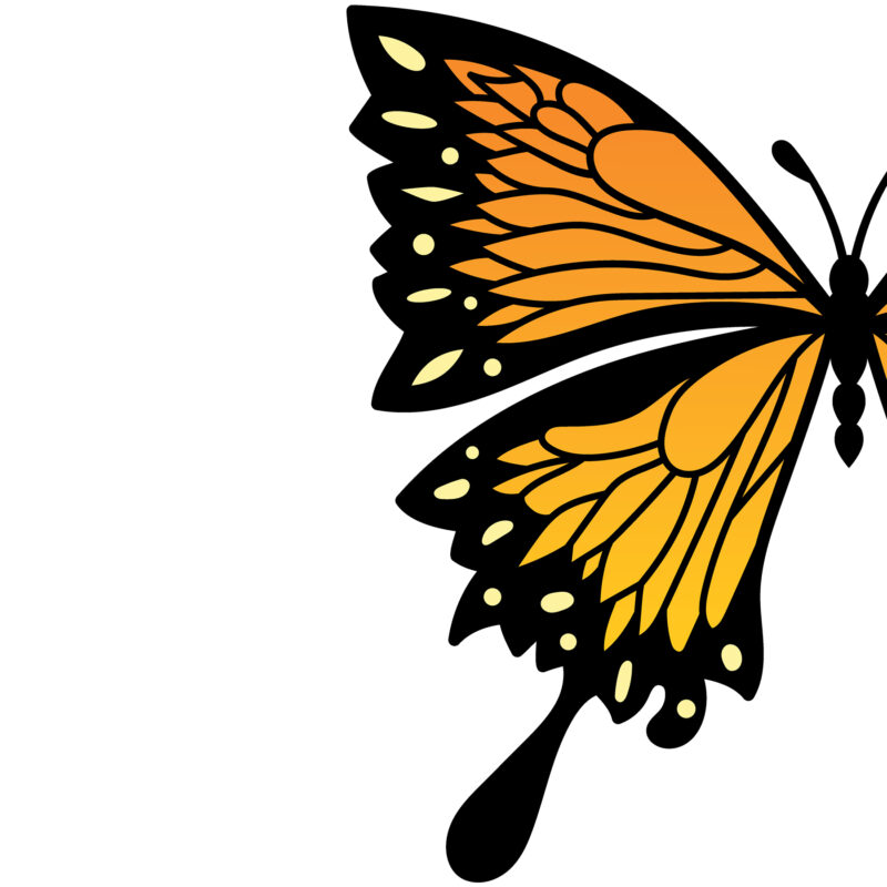Layered Butterfly svg file. - Image 2